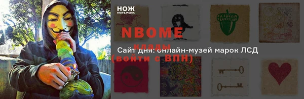 хмурый Алексин