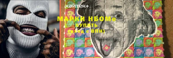 хмурый Алексин