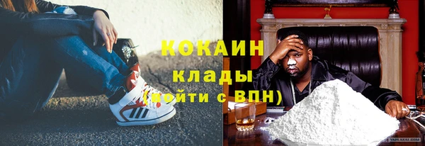 хмурый Алексин