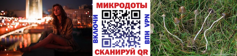 Галлюциногенные грибы прущие грибы  наркота  Южно-Сухокумск 